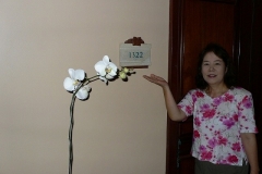 hotel_room_orchid