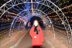 12311264_940464382685985_6577868085101764783_n