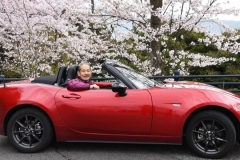 Roadster with 桜