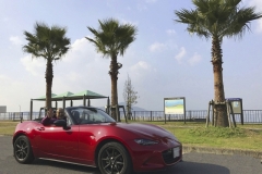 Roadster with Parm Tree