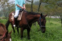 MINOLTA DIGITAL CAMERA